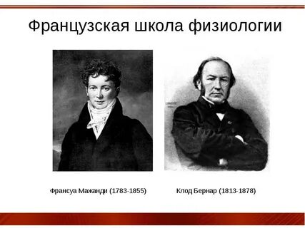 Научные физиологические школы