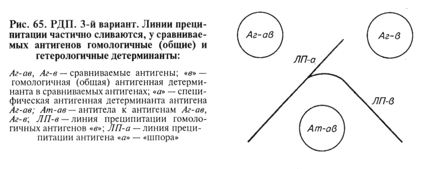 Рдп1 запись