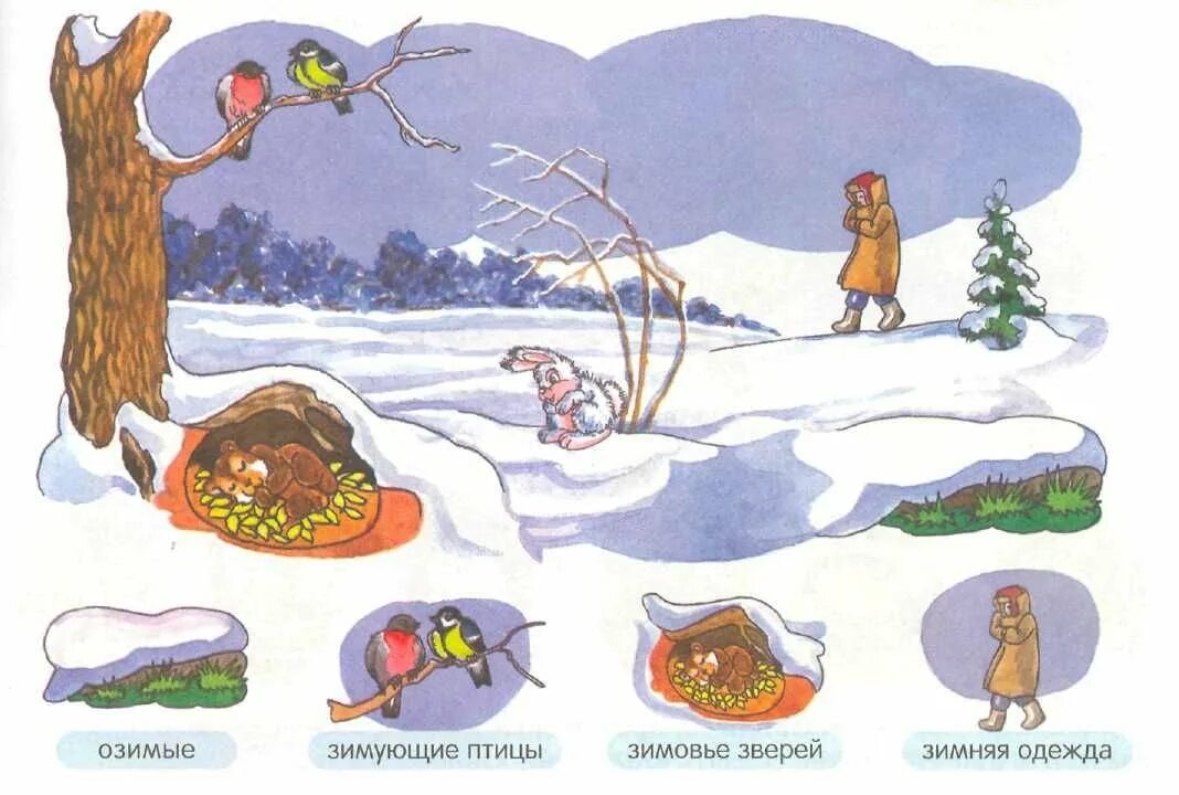 Где прячется зима. Животные зимой задания для дошкольников. Зимующие звери. Как зимуют животные. Зимующие животные для детей задания.