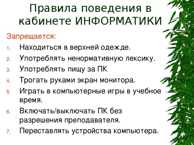 5 правил по информатике