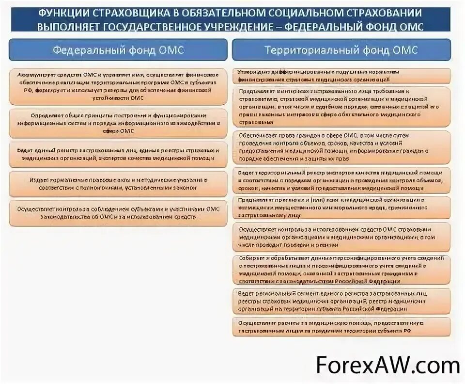 Функции федерального фонда. Функции федерального и территориального фондов ОМС. Функции территориального фонда ОМС. Функции фонда обязательного медицинского страхования РФ. Функции федерального фонда ОМС И функции территориальных фондов ОМС.
