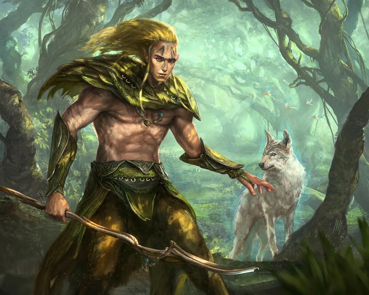 Читать друид. Попаданец в мир меча и магии. Лесной эльф друид днд. Неправильный друид дмитрий толстиков. Маг друид.