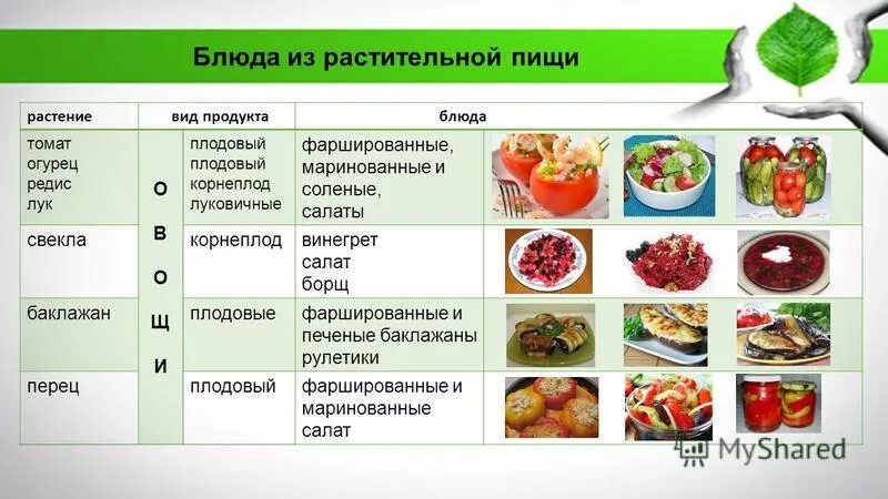 Определен растительный продукт. Растительное питание. Меню питания. Растительное питание рацион. Растительное питание меню на каждый.