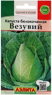 Капуста сорт везувий