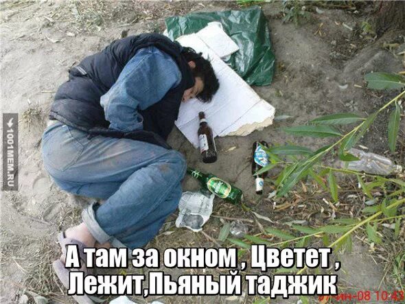 Пьяные таджики. Таджик прикол.