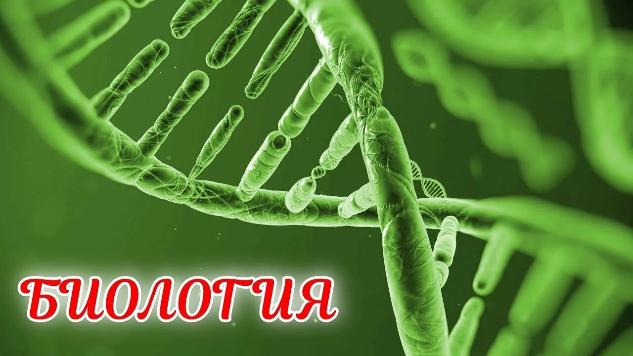 Общая биология картинки. Биология. биология картинки. бриология. картинки на тему биология.