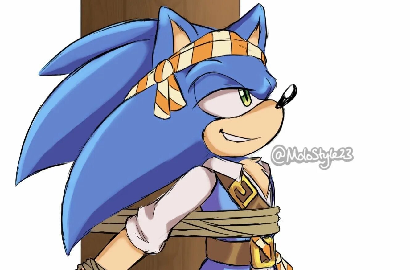 Pirate sonic. Соник пират. соник пират арт. сильвер соник пират. sonic дрифвуд и shadow капитан.