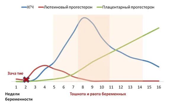 Изменение уровня гормонов. График изменений гормонов в беременность. Уровень прогестерона при беременности график. График прогестерона при беременности. Уровень гормонов при беременности.