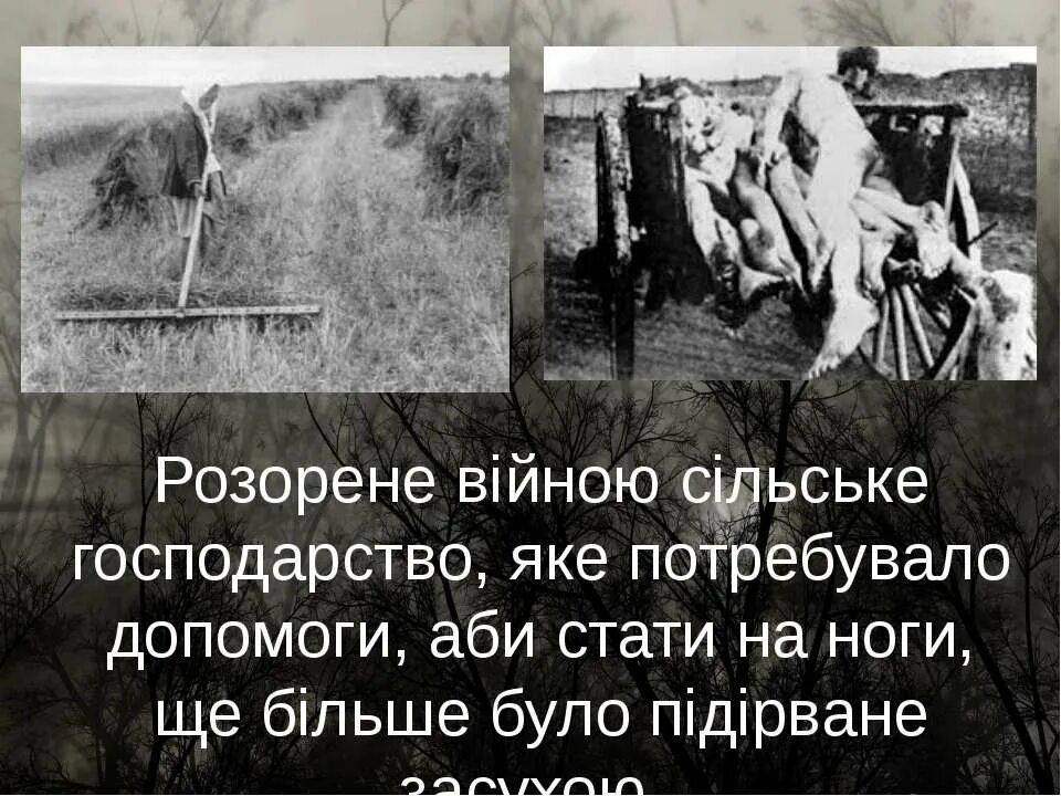 Засуха 1946 год. Засуха 1946 год. Засуха 1946 год. Засуха 1946 год. Засуха 1946 год.