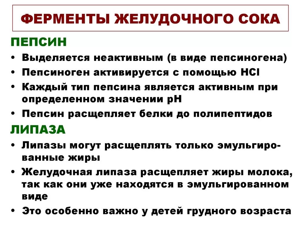 Почему выделяется желудочный сок. Ферменты желудка. Желчный сок ферменты. Какие ферменты в желудке. Ферменты желудочного сока.