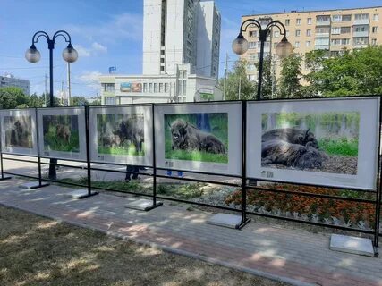 Серпухов приокская