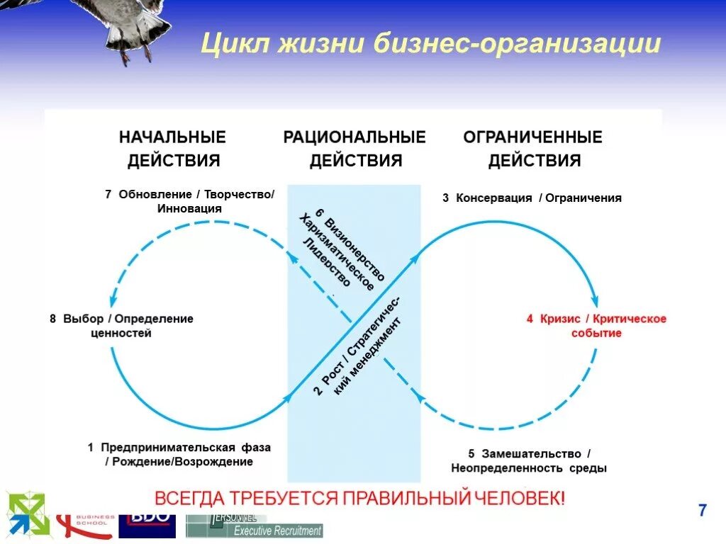 Определенный цикл жизни