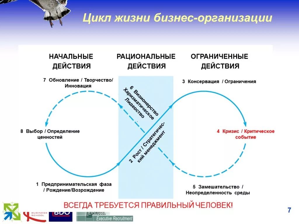 Жизненный цикл жизни. Этапы жизненного цикла лекарственного препарата. Жизненный цикл человека. Цикличность жизни человека.