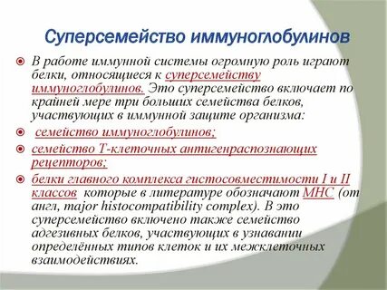 Иммуноглобулины это белки