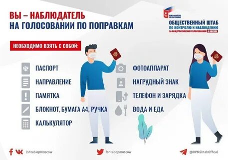 Выборы сделать обязательными