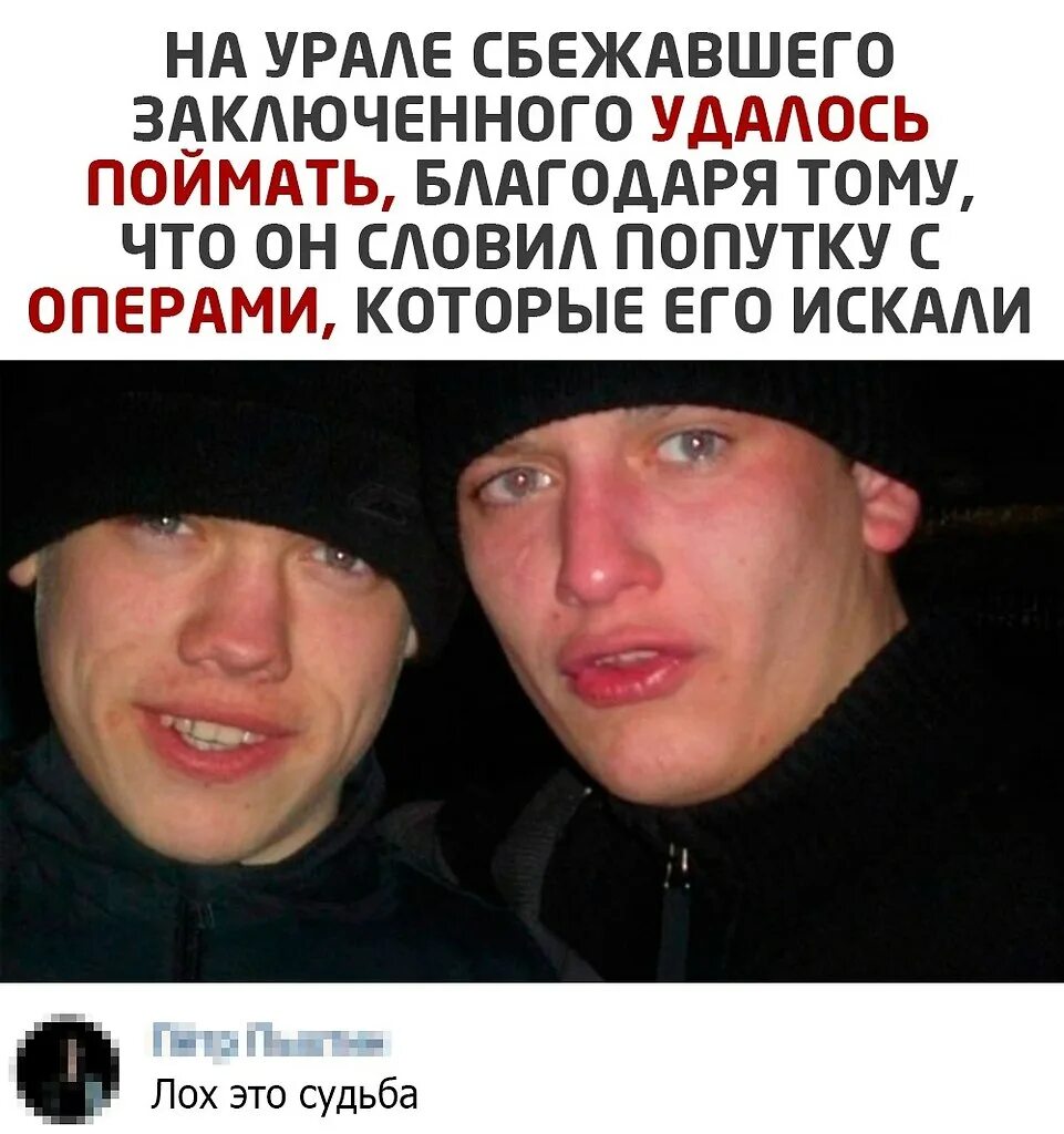 Надпись лох. Лох шин. Надпись лохушка. Надпись лохушка. Ты лох.