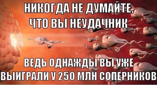 Желают неудачникам. Никогда не думайте что вы неудачник. Жизнь неудачника. Неудачник года. Ты неудачник.