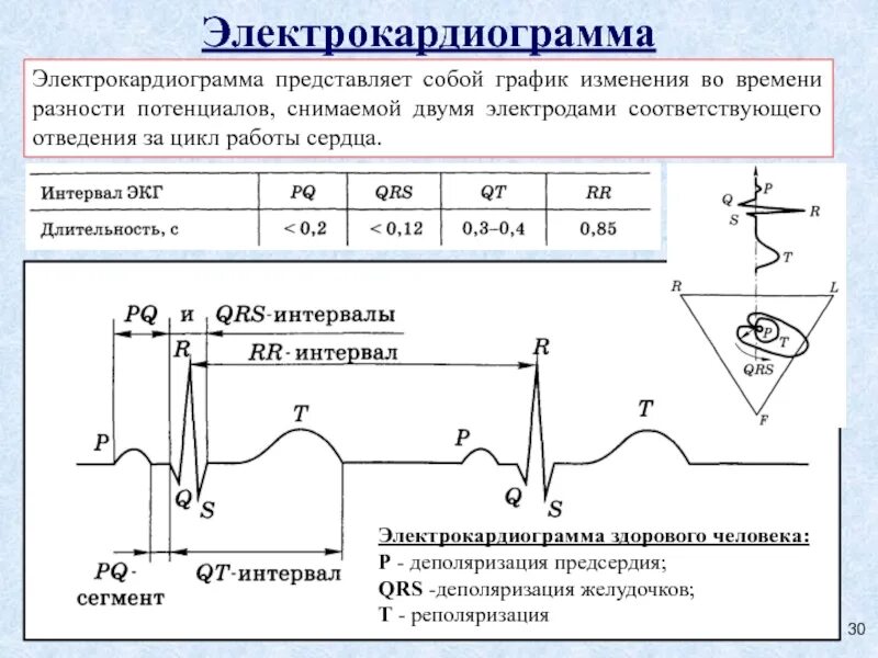 На графике изображена электрокардиограмма. Электрокардиограмма график. стандартное экг. цикл экг. график кардиограммы здорового человека.