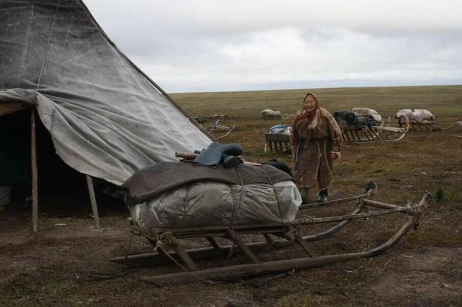 Юрты кочевников в тундре. Кочевники тундры. Ночевка в тундре.