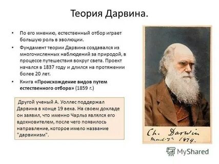 Дарвин взгляды