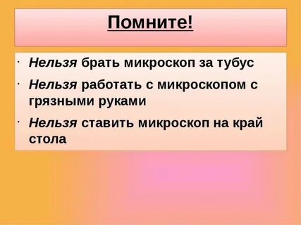Биология 5 класс правила работы с микроскопом