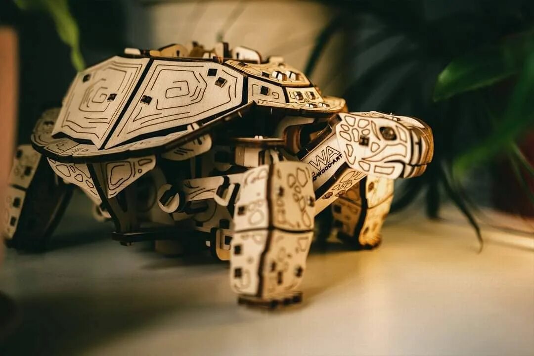Ewa eco wood art. Сборная модель ewa черепаха.