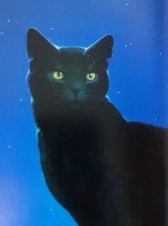 Кошка полночь