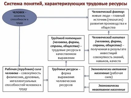 Функция подготовки трудовых ресурсов для общества