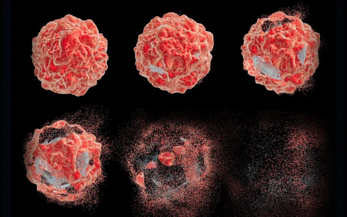 распад раковой опухоли