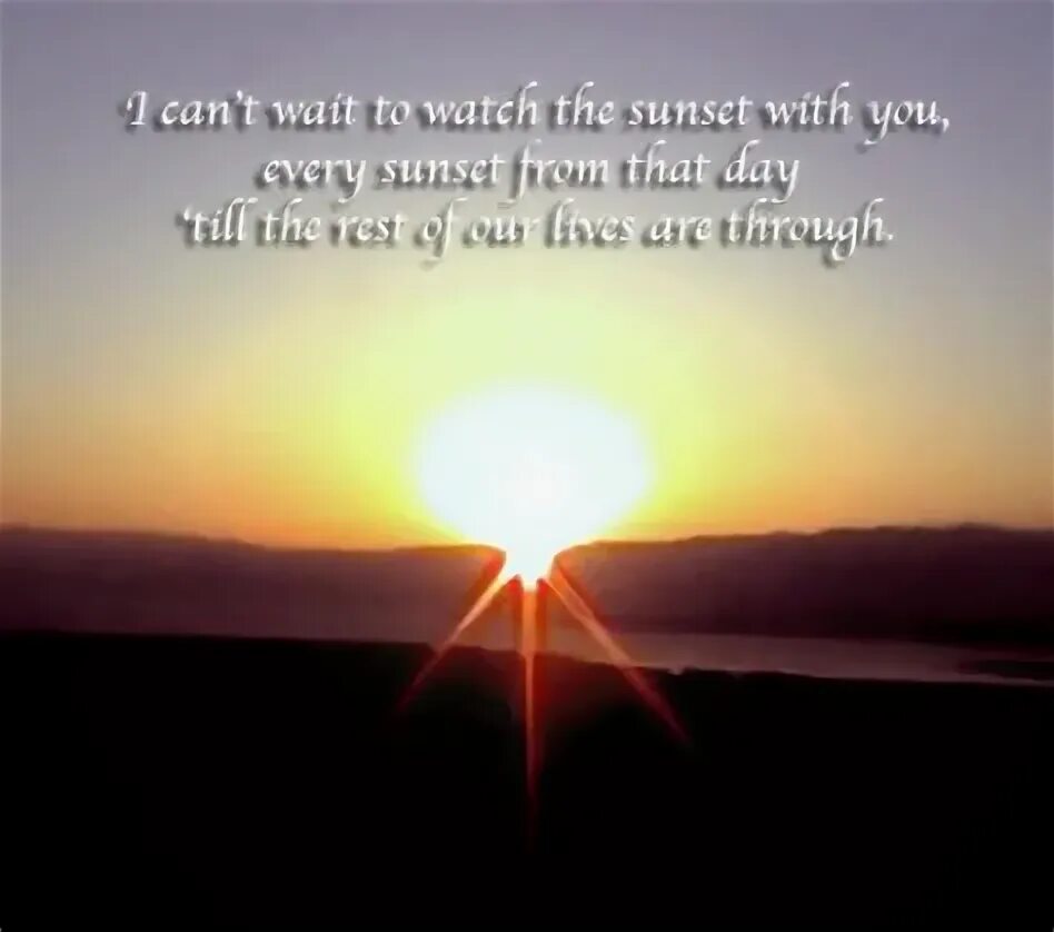 Хэв дог песня. Live by the sun love by the moon тату. Live by the sun перевод. Love by the moon live by the sun эскиз. Live by the sun love by the moon тату.
