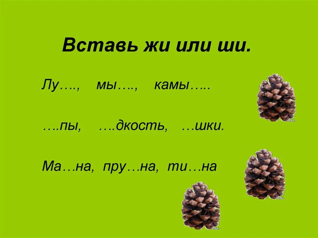 Задание на тему жи ши. Жи ши задания 1 класс. Карточки жи ши. Сочетание жи ши 1 класс.