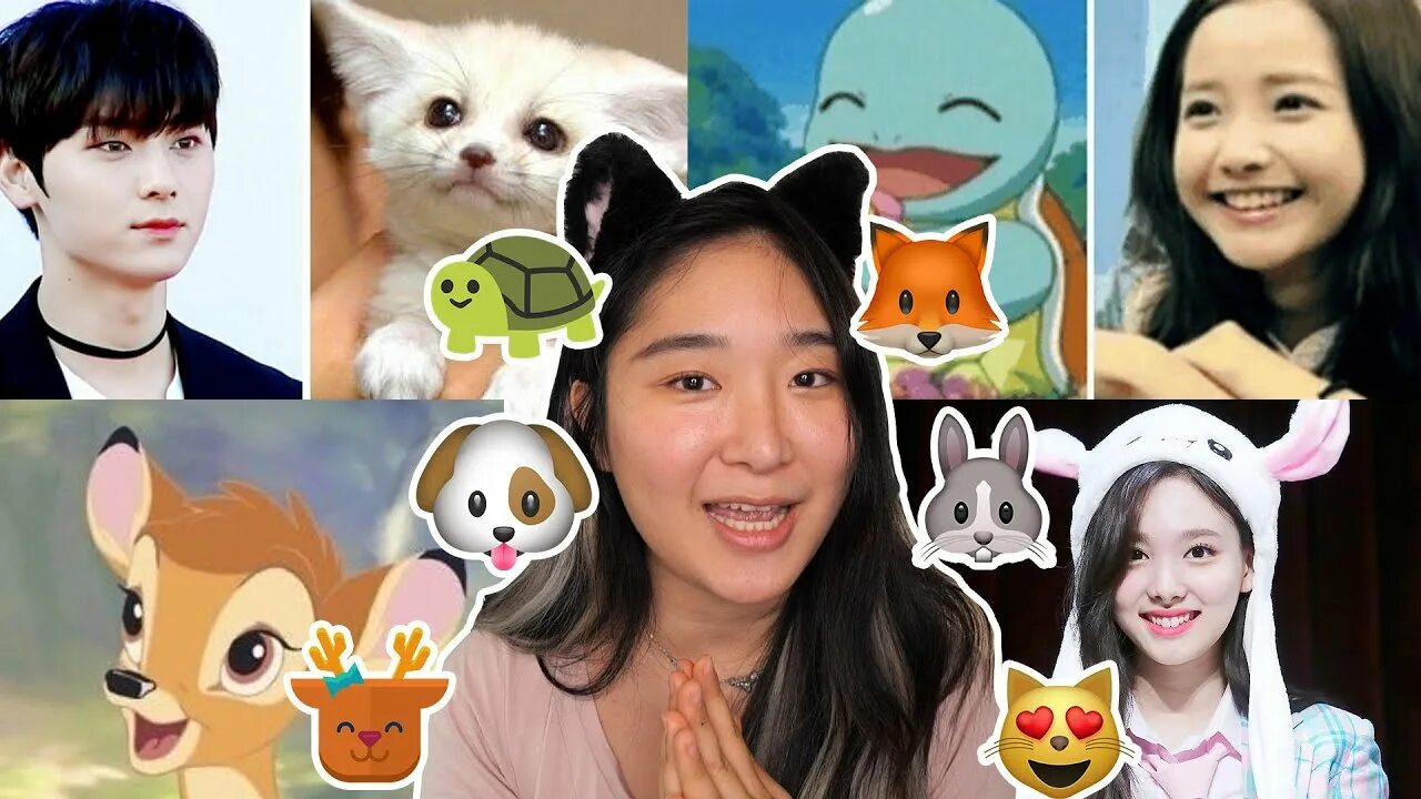 Animal face face types test. Animal face face types test. Мордашки животных. Animal face face types test. Видео морфинга лица в животного.