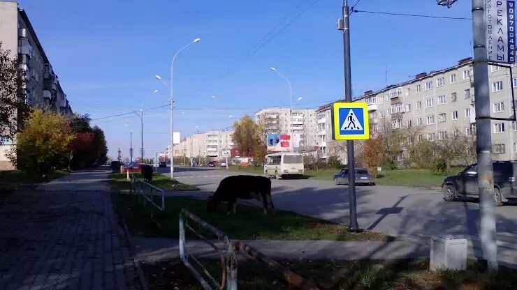 Сфера ревда. Солнечная ревда улица. Азина 73 ревда. Ревда, ул. Цветников 9 ревда.