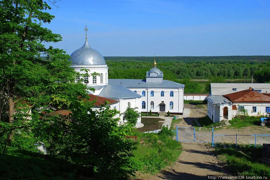 Монастыри воронежской области сайт. Монастыри Воронежской области. Монастырь Воронежской области с/з Радченский. Монастырь в Воронеже. Ковалево Воронежская область монастырь.