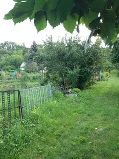 Дачи белгородская область