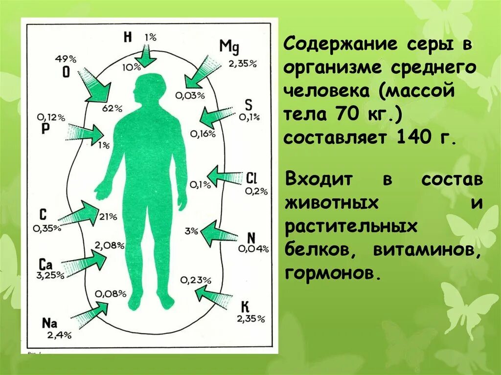 Польза серы для человека. Сера в организме человека. Содержание серы в организме человека. Роль серы в организме человека. Сера в теле человека.