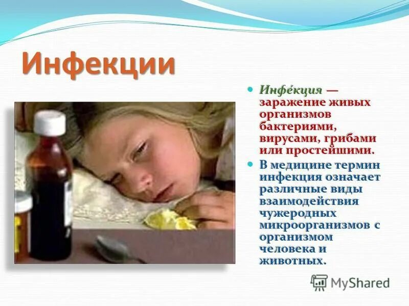Инфекция. Биологические вредные факторы. Заражение живого организма. Учение о защите организмов от микробов. Днк бактерий.