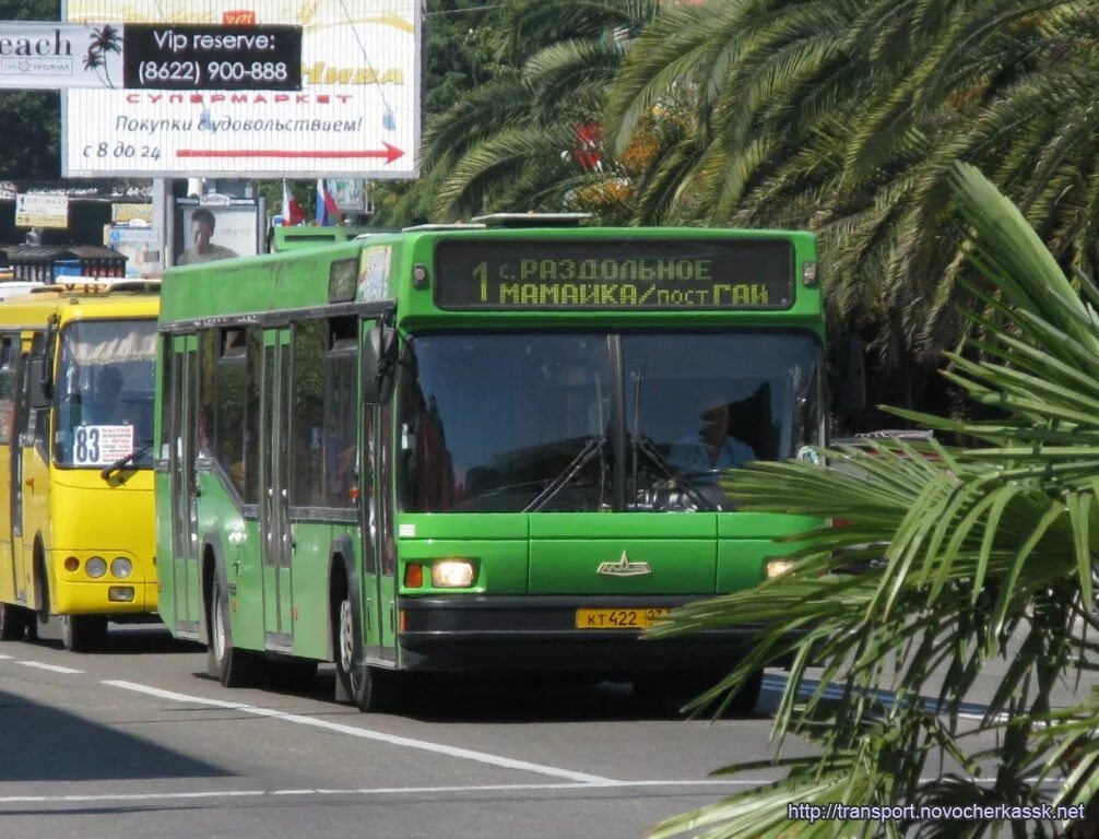 Автобус МАЗ 103 Сочи. Автобус МАЗ 203 Сочи. Автобус 75 Сочи. Автобус МАЗ В Сочи. Сайт автобусов сочи