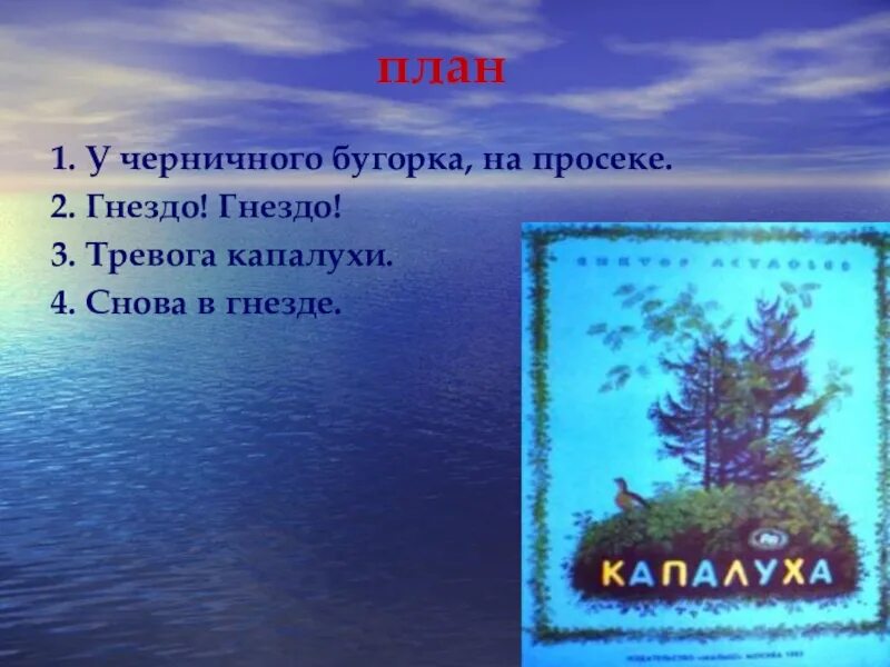 Составить план рассказа капалуха 3 класс. План к рассказу Астафьева Капалуха. Капалуха Астафьев план. Капалуха Астафьев план рассказа. План к рассказу Капалуха.