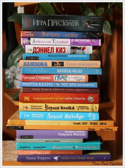 распространить предложения. книжная полка для читательского дневника. читательский дневник. список прочитанных книг книжная полка.