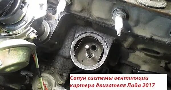 Сапун картера двигателя. Сапун картера газонокосилки. двигатель auc сапун картера. сапун картерных газов дизель-генератора камминз.