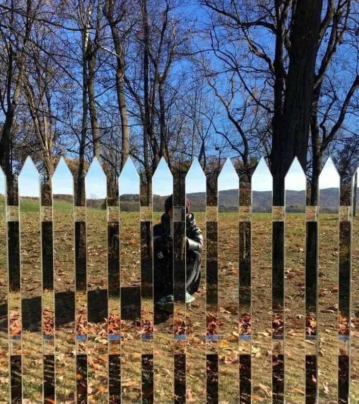 A Mirror Fence that literally changes with the seasons Fence landscaping, Backya