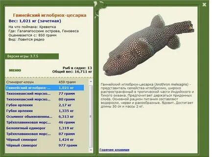 Где ловить иглобрюха