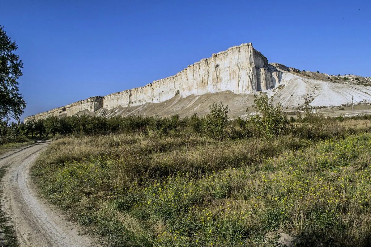 Белая скала Белогорск. Белая скала Белогорский район Крым. Белая скала АК-Кая Крым. Гора белая скала Крым.