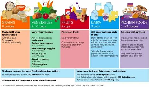Daily food