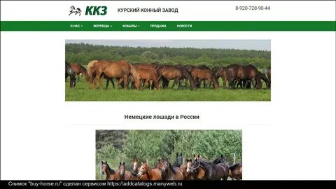 Лошадей курская область