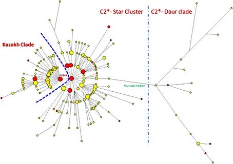 Cluster 2
