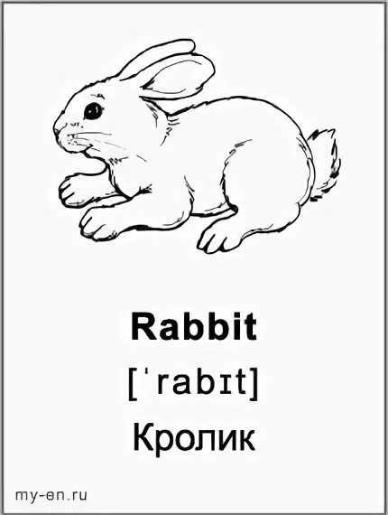 Черный кролик на английском. Кролик по английскому. Заяц на англ. Карточки на английском кролик. Заяц карточка на английском.