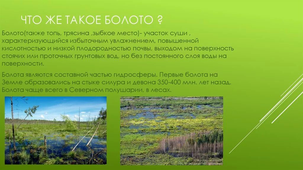 Дикие топи. Болота презентация. Имя топи. Верховые болота. Что такое болото кратко.