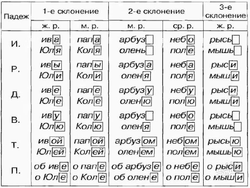 Ладья множественное число. Падежные окончания склонений существительных. 3 Склонение имен существительных родительный падеж. Склонение существительных мужского рода винительный падеж. Окончания существительных в падежах женского рода в русском языке.